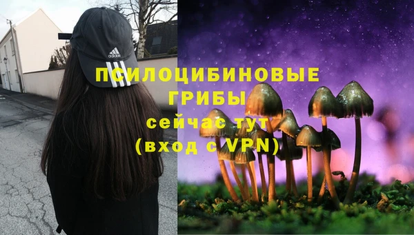 дживик Арсеньев