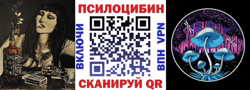 Галлюциногенные грибы мицелий  KRAKEN зеркало  Стародуб 