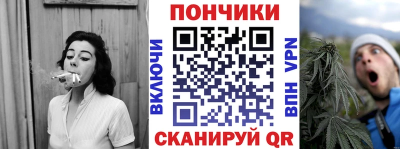 Конопля ГИДРОПОН Стародуб